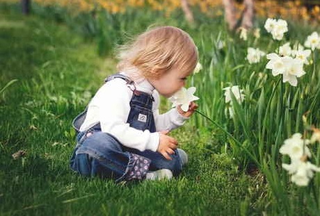 Lire la suite à propos de l’article Éducation à l’environnement : de la lubie à l’urgence planétaire