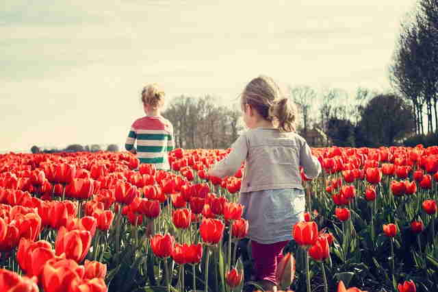 L'éducation des enfants par la nature