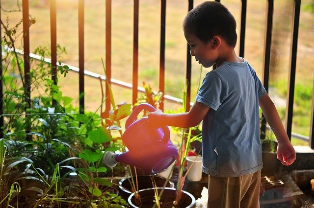 Lire la suite à propos de l’article Jardiner avec les enfants : une initiation à la nature