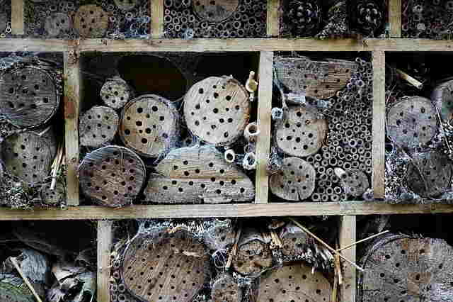 Refuge à insectes