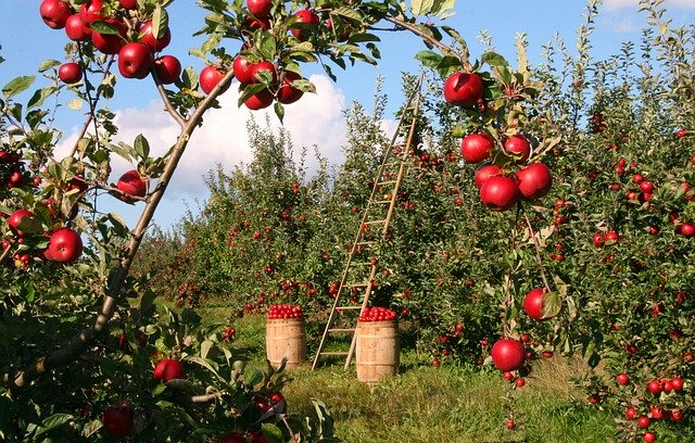 Zonage en permaculture