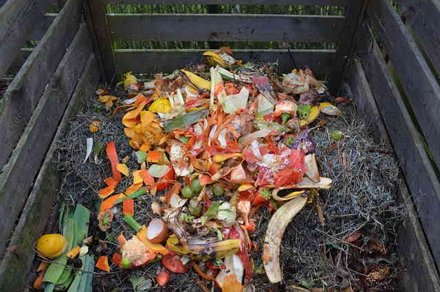 Compost indispensable au jardin écologique