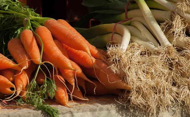 Jardin Écologique : 27 Pratiques pour se mettre au Vert