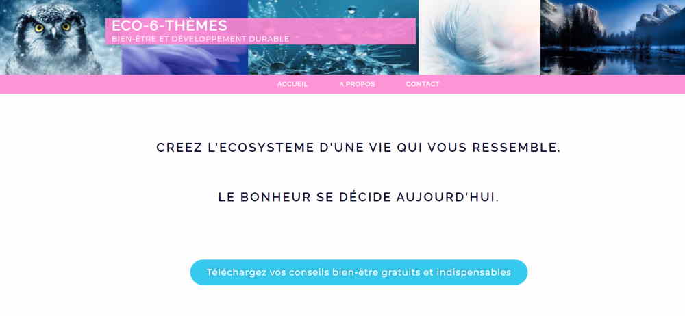 blog développement durable Eco-6-Themes