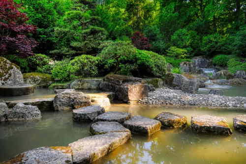 Jardin cérémonie du thé