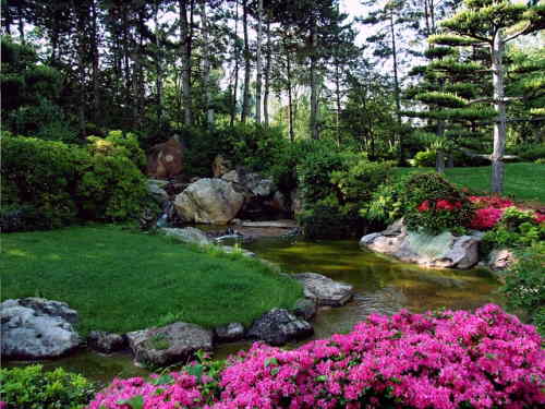 Jardin contemporain nippon