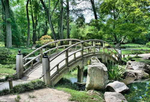 Petit jardin japonais