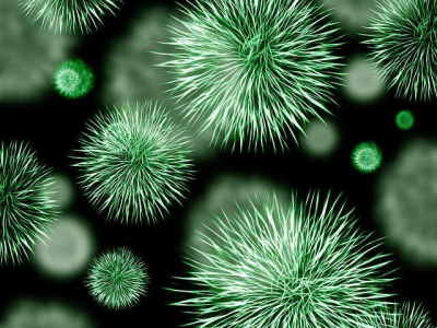 Mycobacterium vaccæ : une bactérie du bonheur présente juste sous nos pieds
