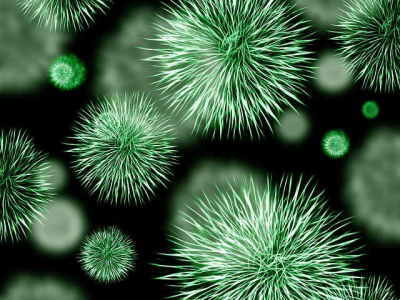 Mycobacterium vaccae