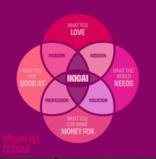diagramme ikigai de la Miami ad School