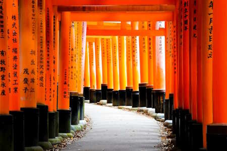 Torii de sanctuaire shinto